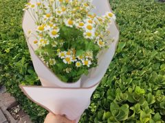 -春饼家常菜(百子湾店)