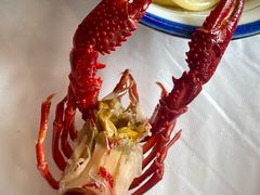 -红胖胖龙虾王·本地菜