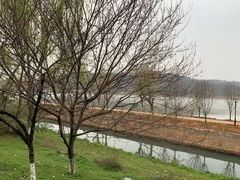 -羊山湖公园
