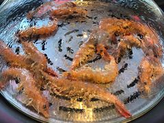 鲜活海白虾-日进一片海.生腌海鲜火锅.宵夜烧烤(三里屯总店)