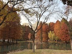 -白塘生态植物园