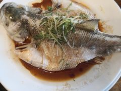 -YAFEE雅菲·粤菜·湘菜·融合菜(魏公村店)