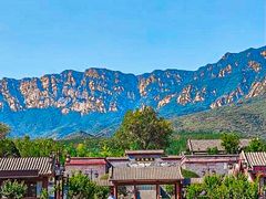 -禅宗少林·音乐大典