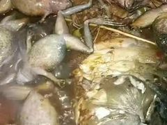 -茂隆餐厅(进贤路店)