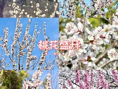-白水寺森林公园