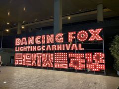 -锦江乐园舞狸花花游园会(夜场专享)