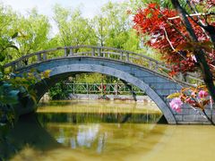 -南汇桃花村
