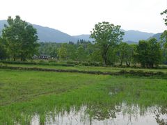 -塔川景区