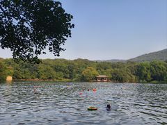 -紫霞湖公园