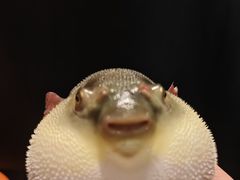 -永安鱼庄·镇江菜(东吴路店)