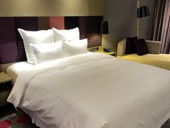 -南京禄口机场雅高铂尔曼大酒店