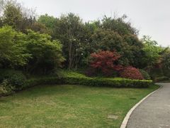 -桃花岛景观公园