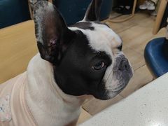 -晓靖轩烧烤(沙河风情店)