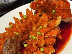 -RIVIERA 松鹤楼(外滩店)