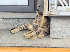 -星巴克(北京新东安)