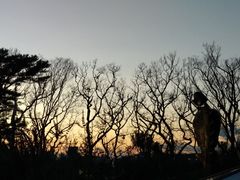 -三鹰之森吉卜力美术馆