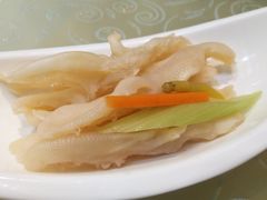 -阳春市花园酒店