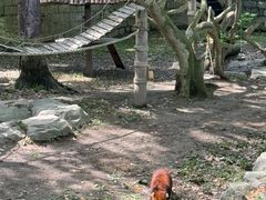 -上海野生动物园