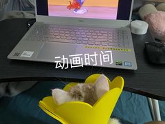 -凯特喵百思猫专科医院