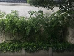 -王阳明故居