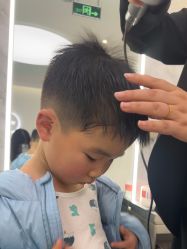 -YESIDO椰岛造型