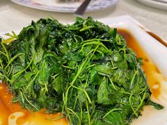 清炒草头-梅龙镇酒家(南京西路总店)