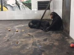 秦岭野生动物园-西安秦岭野生动物园