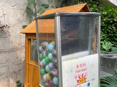 -上海大自然野生昆虫馆(东方明珠·爬宠昆虫探索中心)