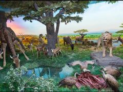 -国家自然博物馆