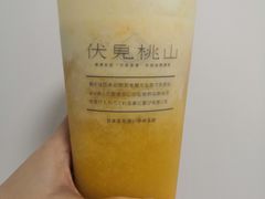 -伏小桃(明瓦廊店)