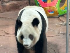 -秦皇岛野生动物园