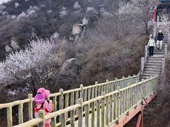 -北京凤凰岭