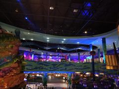 -青岛嘉年华主题乐园