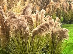 -福田美术馆——新童话主义－周艺文艺术季