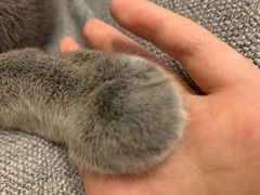 -大四喜沙拉(四条巷店)