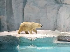 -珠海长隆海洋王国