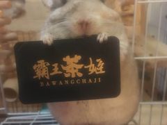 -霸王茶姬(南强街店)