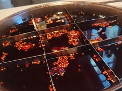 -家一加火锅(绿地翠谷总店)