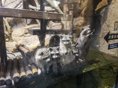 -哈尔滨波塞冬海底世界