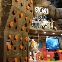 -卡通尼·Safari非洲探索乐园·生日会(金桥国际商业广场店)
