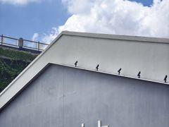 -常州古运河