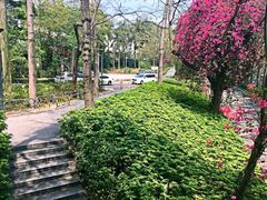 -东部华侨城