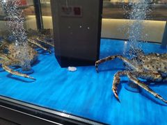 -凯德MALL(望京店)