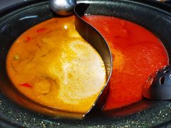 -生活如沸·顺德水牛奶火锅(大学路店)