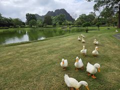 -Club Med地中海俱乐部·桂林度假村