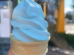 海盐椰子-麦当劳(展览路店)