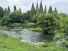 -贵阳市花溪国家城市湿地公园