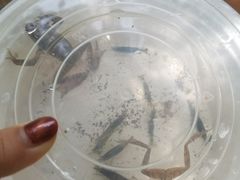 -碓臼峪自然风景区