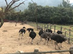 -西安秦岭野生动物园