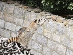 -上海野生动物园